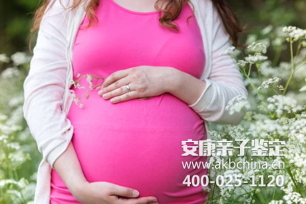 惠州胎儿如何做亲子鉴定准确度如何，胎儿怎么做DNA鉴定 