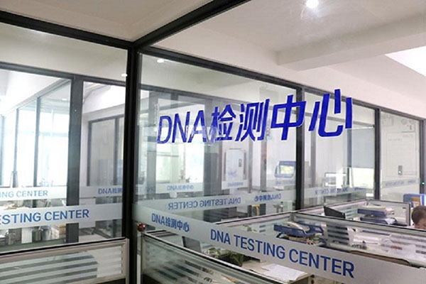 惠州头发能做DNA亲子鉴定（解读头发DNA亲子鉴定的优势与限制） 